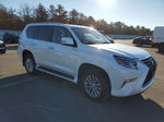 2022 Lexus Gx 460 White vin: JTJAM7BX9N5335356