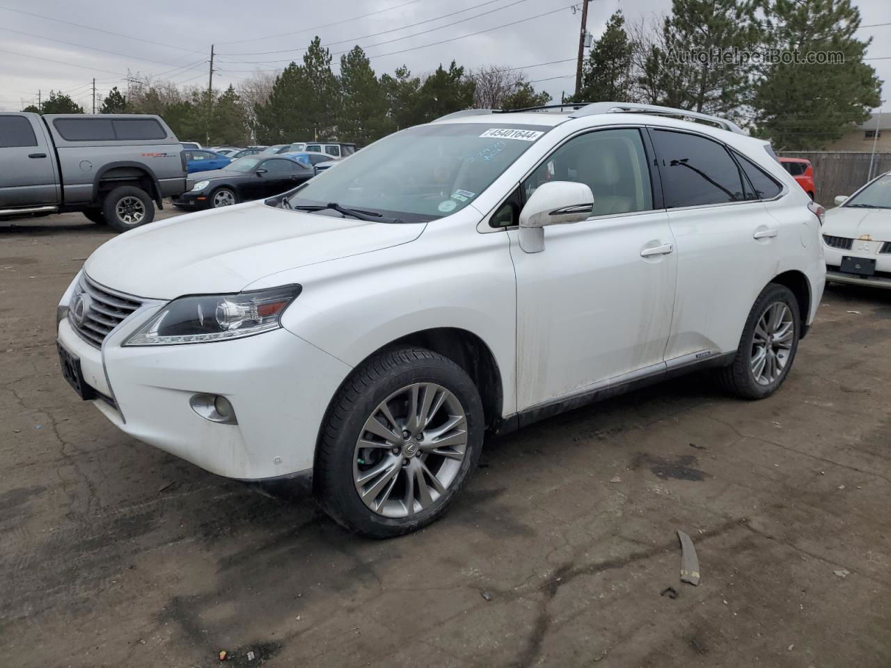 2013 Lexus Rx 450 White vin: JTJBC1BA2D2445441