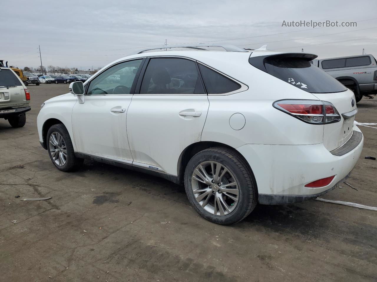 2013 Lexus Rx 450 White vin: JTJBC1BA2D2445441