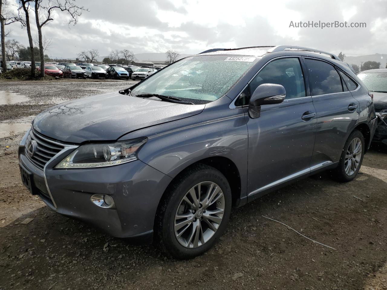 2013 Lexus Rx 450 Gray vin: JTJBC1BA8D2058814