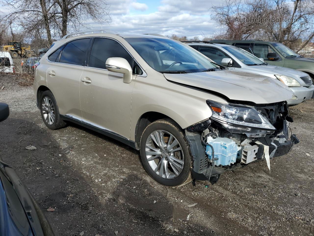 2013 Lexus Rx 450 Gold vin: JTJBC1BAXD2440214