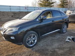 2013 Lexus Rx 450 Черный vin: JTJBC1BAXD2449074