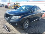 2010 Lexus Rx 350   Black vin: JTJBK1BA0A2427681