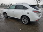 2013 Lexus Rx 350 Base White vin: JTJBK1BA0D2026944