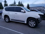 2015 Lexus Gx 460 White vin: JTJBM7FX0F5108914