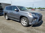 2017 Lexus Gx 460 Gray vin: JTJBM7FX0H5164905