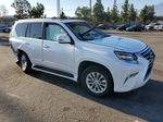 2015 Lexus Gx 460 White vin: JTJBM7FX1F5113829