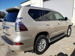 2015 Lexus Gx 460 Beige vin: JTJBM7FX1F5118349