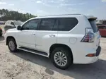 2017 Lexus Gx 460 White vin: JTJBM7FX1H5160880