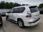 2015 Lexus Gx 460 Белый vin: JTJBM7FX2F5091632