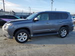 2017 Lexus Gx 460 Gray vin: JTJBM7FX2H5167434