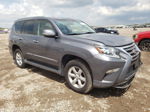 2017 Lexus Gx 460 Серый vin: JTJBM7FX2H5169460