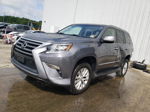 2015 Lexus Gx 460 Gray vin: JTJBM7FX3F5097990