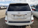 2015 Lexus Gx 460 White vin: JTJBM7FX4F5117244