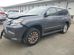 2017 Lexus Gx 460 Gray vin: JTJBM7FX4H5167449