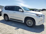 2017 Lexus Gx 460 White vin: JTJBM7FX4H5172473