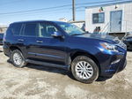 2017 Lexus Gx 460 Blue vin: JTJBM7FX5H5151177