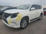 2017 Lexus Gx 460 Белый vin: JTJBM7FX5H5158114