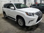 2015 Lexus Gx 460 White vin: JTJBM7FX6F5105791