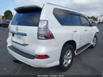 2017 Lexus Gx Gx 460 White vin: JTJBM7FX6H5153472