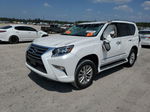 2017 Lexus Gx 460 Белый vin: JTJBM7FX6H5163161