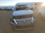 2017 Lexus Gx 460 Gray vin: JTJBM7FX6H5172118