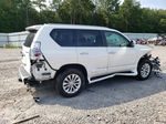 2017 Lexus Gx 460 White vin: JTJBM7FX7H5158132