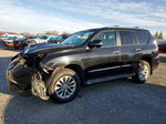 2015 Lexus Gx 460 Black vin: JTJBM7FX8F5096981