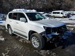 2017 Lexus Gx 460 White vin: JTJBM7FX8H5158267