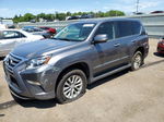 2017 Lexus Gx 460 Gray vin: JTJBM7FX8H5165462