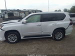 2017 Lexus Gx Gx 460 White vin: JTJBM7FX8H5173240