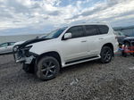 2015 Lexus Gx 460 White vin: JTJBM7FX9F5091921