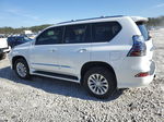 2015 Lexus Gx 460 Белый vin: JTJBM7FX9F5104098