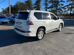 2015 Lexus Gx 460 White vin: JTJBM7FXXF5114865