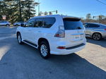 2015 Lexus Gx 460 Белый vin: JTJBM7FXXF5114865