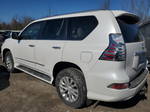 2015 Lexus Gx 460 White vin: JTJBM7FXXF5120519