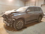 2022 Lexus Gx 460 Luxury Gray vin: JTJGM7BX5N5310836