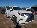 2017 Lexus Gx 460 Premium White vin: JTJJM7FX1H5156419