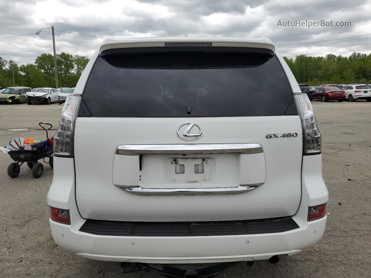 2015 Lexus Gx 460 Premium Белый vin: JTJJM7FX2F5097376