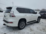 2015 Lexus Gx 460 Premium Белый vin: JTJJM7FX4F5104666