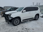 2015 Lexus Gx 460 Premium Белый vin: JTJJM7FX4F5104666