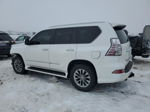 2015 Lexus Gx 460 Premium Белый vin: JTJJM7FX4F5104666