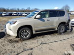 2015 Lexus Gx 460 Premium Золотой vin: JTJJM7FX4F5115523