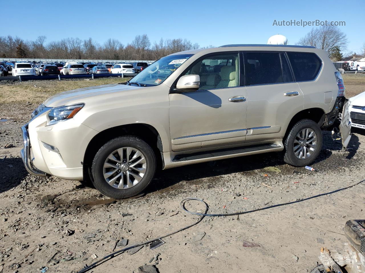 2015 Lexus Gx 460 Premium Золотой vin: JTJJM7FX4F5115523