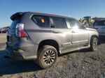 2017 Lexus Gx 460 Premium Серый vin: JTJJM7FX4H5168709