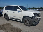 2015 Lexus Gx 460 Premium White vin: JTJJM7FX6F5113661