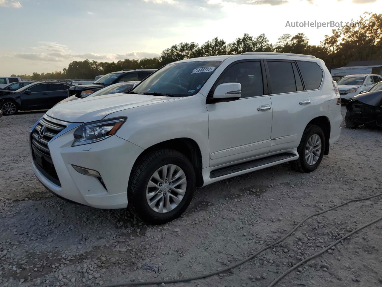 2015 Lexus Gx 460 Premium White vin: JTJJM7FX8F5100183