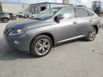 2013 Lexus Rx 450 Gray vin: JTJZB1BA6D2410029