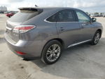 2013 Lexus Rx 450 Gray vin: JTJZB1BA6D2410029