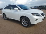 2013 Lexus Rx 350 White vin: JTJZK1BA5D2009328